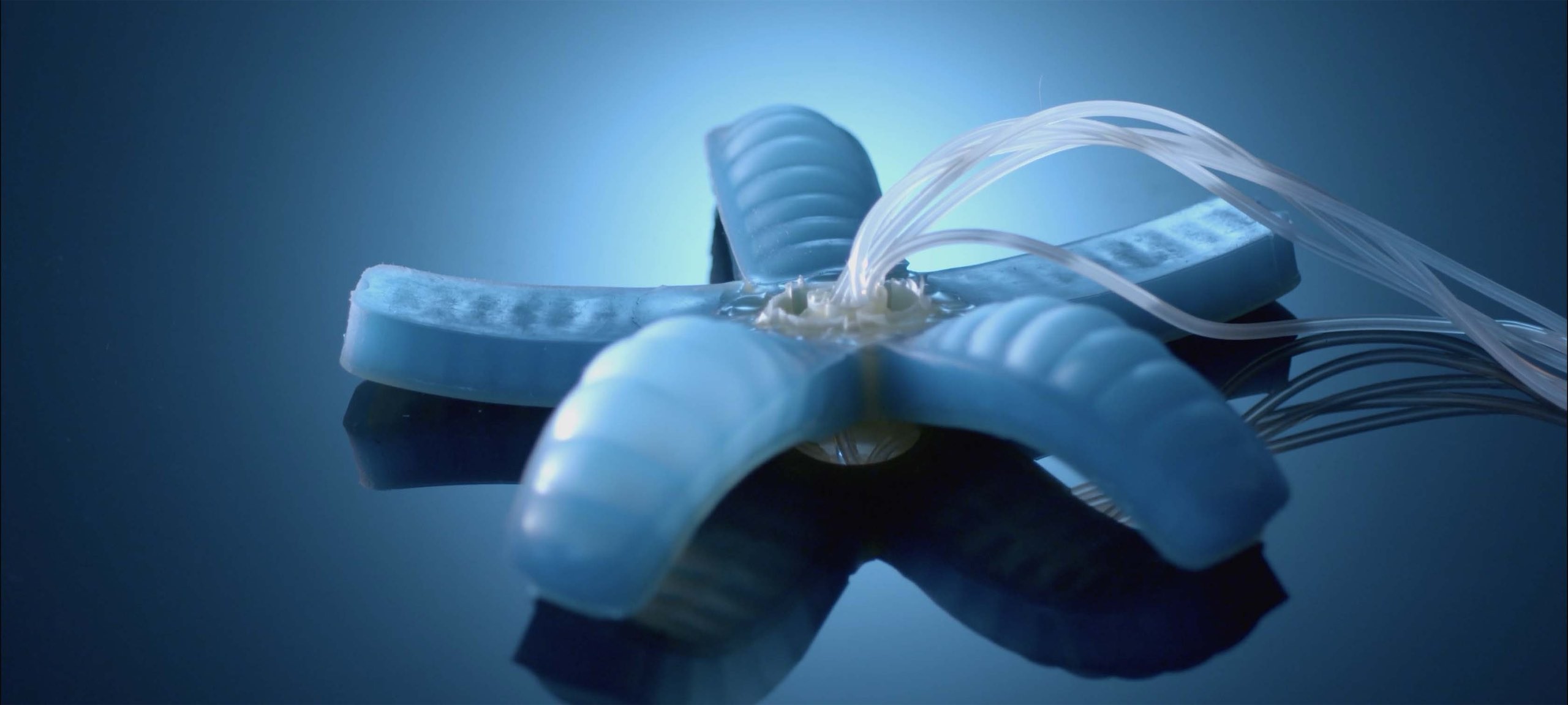 Soft robotic octopus in blue hues.jpg